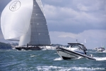 Protector Rib Charter 1